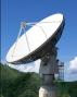 Morehead State 21 M dish